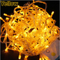 Fairy LED Lights – Still and Blinking – Multi-Color for Events